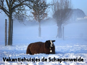 Vakantiehuisjes de Schapenweide Wijlre Limburg